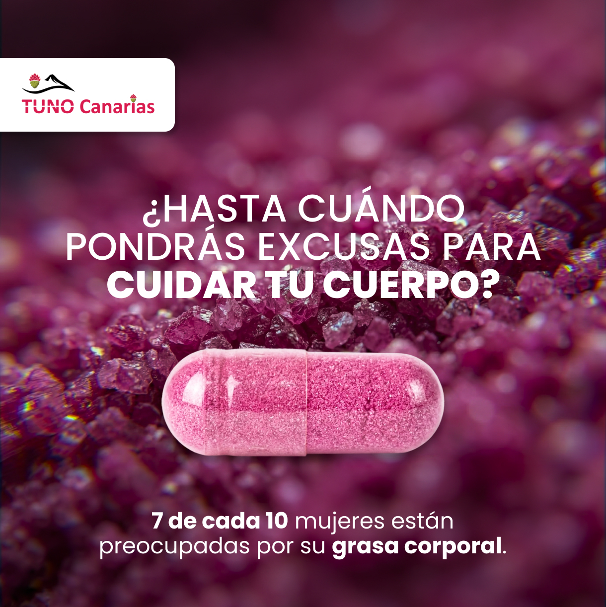 Lead Fluence - Creas A5 - Feed