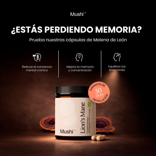 Creatividad Mushi Lab - Melena de León para la memoria